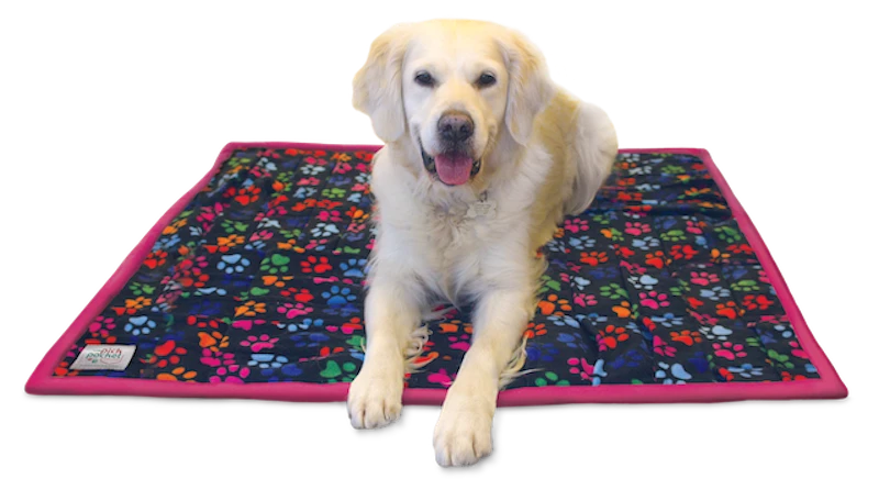 Medium floor forager black fleece with coloured paws and pink trim